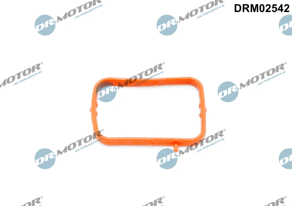 Gasket, thermostat housing